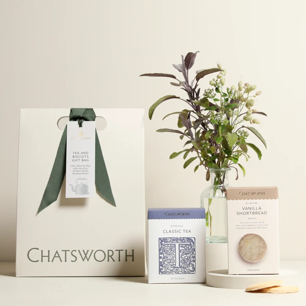 Gifts under £100